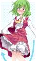 __kazami_yuuka_touhou_drawn_by_hammer_sunset_beach