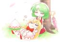 __kazami_yuuka_and_lily_white_touhou_drawn_by_kash